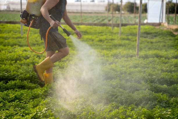 Best Exterminator Services  in Paw Paw Lake, MI