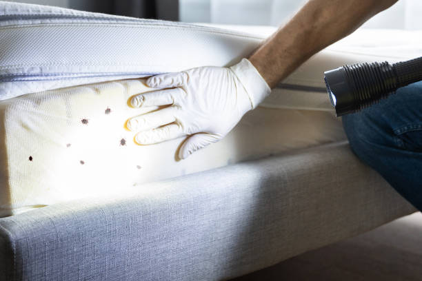 Best Best Pest Control Companies  in Paw Paw Lake, MI