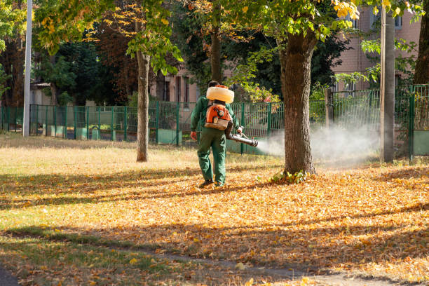 Best Pest Removal Services  in Paw Paw Lake, MI
