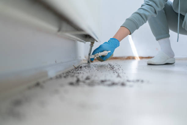 Best Cockroach Control Services  in Paw Paw Lake, MI