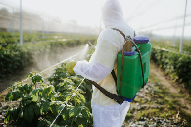 Best Affordable Pest Control Services  in Paw Paw Lake, MI